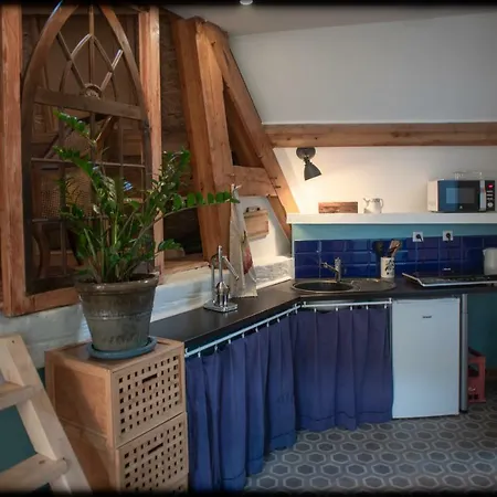 Grand Duplex Proche De La Apartment *